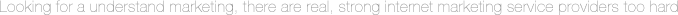 網(wǎng)絡(luò)營銷服務(wù)商